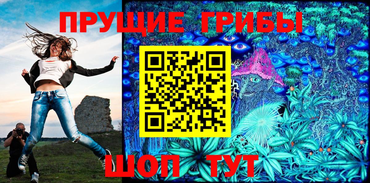 Псилоцибиновые грибы Psilocybe  Вход с VPN  Новосибирск  Галлюциногенные грибы Cubensis 