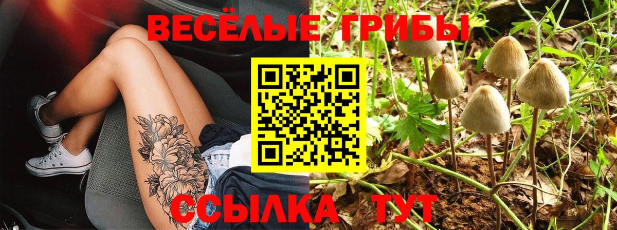 Псилоцибиновые грибы GOLDEN TEACHER Новосибирск